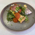 VOLPE - 