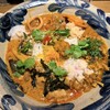 iROBANA