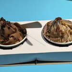 bubó BARCELONA - 