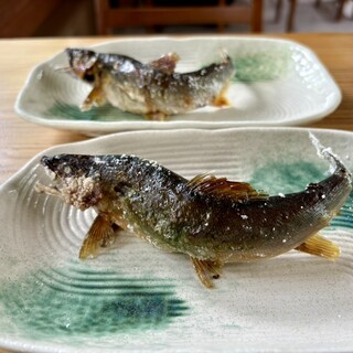 天然鮎料理 おもだか_1