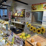 島ごころ セトダ - 
