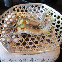 京都 吉兆 嵐山本店 - 稚鮎-塩焼き・唐揚げ-
