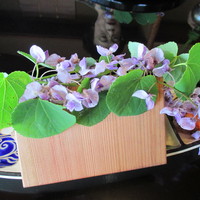 京都 吉兆 嵐山本店 - 八寸-きれいに飾られてきます-