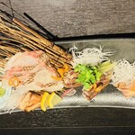 瀬戸の肴と牡蠣 AVLI - 