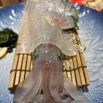 炭寅 - 