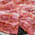 Yakiniku Akami Niku Ga Tou - にくがとうのカルビ【2015年4月】