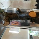 里山ファーム - 