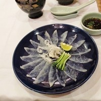 春帆楼 下関本店 - とらふぐ薄造り