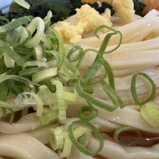 手打うどん 長谷沼_1