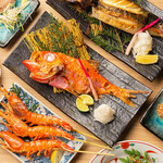 炉端 九州料理 木村屋本店 - メイン写真: