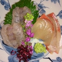 うぶか - 才巻き海老の洗い 天然平政