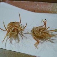天ぷらふく西 禅と匠 - まきえび頭