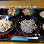 カフェ花 - 料理写真:十割おろし蕎麦（二人前）