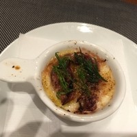 オッジ ダルマット 西麻布店 - 