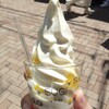 杉養蜂園 - 