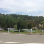 Hishino Onsen Yakushikan - 周辺の風景
                        
                        投稿者:伊藤剛
                        投稿元:紅茶とハーブのお店 Aqua Dream Service
                        http://avaplus.pro.tok2.com