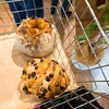 Notte Bianca - 料理写真: