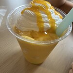 アンナの贈り物 - 