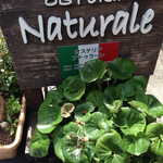 OSTERIA Naturale - 入り口にお店の看板