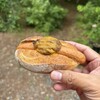 カントリーキッチン　ベーカリー  - 