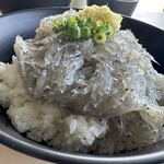 田子の浦港 漁協食堂 - 