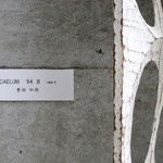 茶房　わらび野 - 