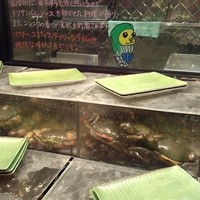 シンガポール・シーフード・リパブリック 大丸梅田 - かにさんの水槽byarumona