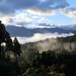 早苗饗