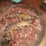 海鮮 居酒屋 凛火 新宿本店 - えびの躍り食い