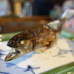 柳家 - 今年初の、アマゴ☆