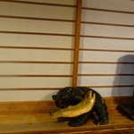 王将 - 
