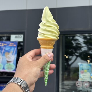 砂丘センター 見晴らしの丘_1