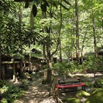 山菜料理 みたき園 - 