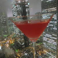 ヒルトン東京 - 折角の夜景　冷たい雨で。。。。