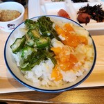 カマイシテラス - メカブ&オクラ+温泉たまごかけ御飯
