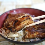うなぎ 松琴楼 - 