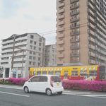 umami - カウンター席からはチン電が見られます