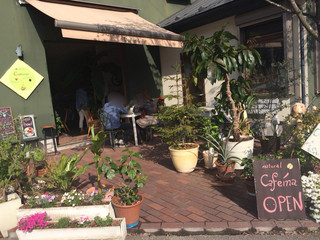 Natural Cafe Iina - 入口〜