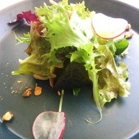TOOTH TOOTH GARDEN RESTAURANT - サラダ