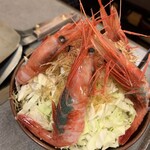 もんじゃ 来る実 - 