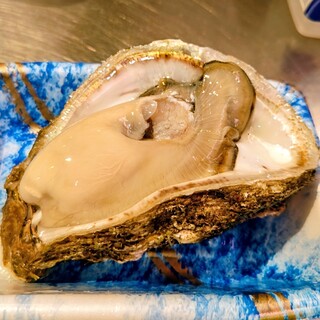 川木商店_0