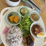 Cotti菜 - 