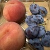 農産物直売所 ろくさん