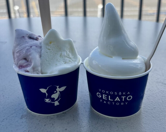 ジェラートファクトリー セット　gelato factory 横須賀ジェラートファクトリー - 横須賀中央/ジェラート・アイス