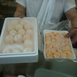 覆麺 智 - 海がめの卵