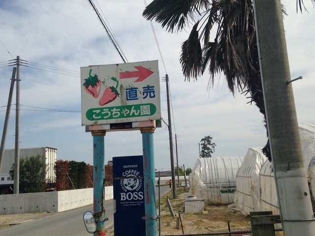 こうちゃん園 - 亘理（その他）の写真