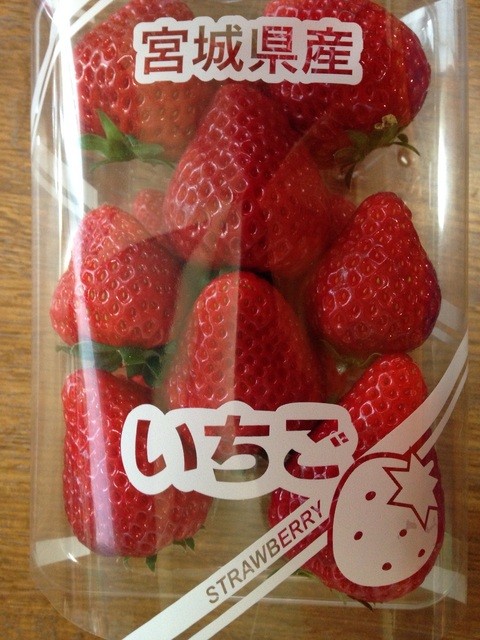 こうちゃん園 - 亘理（その他）の写真