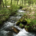 養命酒　駒ヶ根工場　カフェ＆ショップ - 大自然