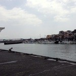 田子の浦港 漁協食堂 - 