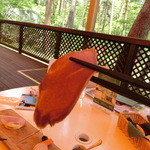 ホワイトテラス - 2015' May